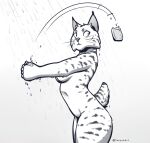  2020 5_fingers anthro breasts censored convenient_censorship digital_media_(artwork) don&#039;t_drop_the_soap dropping_object felid feline female fingers lynx mammal nude soap solo suprised_look tenynnart 