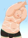  2021 anthro belly blue_background blush bulge clothing domestic_pig humanoid_hands kemono male mammal meg_hoi moobs navel nipples overweight overweight_male simple_background solo suid suina sus_(pig) underwear 