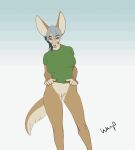  2d_animation animated anthro blue_eyes blue_hair breasts canid canine cleft_of_venus clothed clothing clothing_lift female fennec fox genitals hair hi_res loop mammal pussy shirt shirt_lift short_playtime solo tailwag topwear wunp 