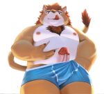  2021 aipangpangdeyua anthro belly clothing erection felid genitals hi_res humanoid_genitalia humanoid_hands humanoid_penis kemono lion male mammal moobs nipples overweight overweight_male pantherine penis simple_background solo tongue tongue_out underwear white_background 