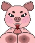  anthro breast_play breasts digital_media_(artwork) domestic_pig duo ear_piercing facial_piercing female female_focus freckles licking male male/female mammal nose_piercing nose_ring piercing pink_body pink_skin pixel_(artwork) riquediaz sex suid suina sus_(pig) titfuck tongue tongue_out 