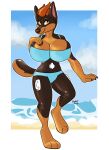  2018 3_toes 4_fingers absurd_res actual.trash animate_inanimate anthro beach belly_valve big_breasts biped blue_bottomwear blue_clothing blue_topwear bottomwear bra breasts brown_body brown_claws brown_ears brown_nose brown_pawpads canid canine canis claws clothed clothing cloud daniel156161_(character) digital_drawing_(artwork) digital_media_(artwork) digitigrade dobermann domestic_dog erika_(daniel156161) feet female fingers glistening glistening_body hair handles_on_thighs hi_res inflatable living_inflatable mammal multicolored_body multicolored_tail nozzle orange_body orange_hair orange_paws pawpads pink_inner_ear pinscher pool_toy rubber sand seam_(sewing) seaside short_hair short_tail simple_background sky smile solo standing thick_tail toes topwear underwear water white_background yellow_eyes 