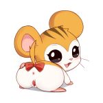  anus blush butt cricetid female feral flong fur genitals hamster hamtaro hamtaro_(series) hi_res looking_at_viewer mammal open_mouth pussy rodent sandy_(hamtaro) sex simple_background solo 