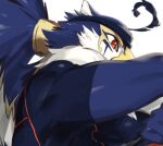  2021 anthro avian blue_body blue_feathers clothed clothing colored feathers hair hi_res horus_(tas) kaiko_003f male multicolored_body multicolored_feathers orange_eyes simple_background solo tied_hair tokyo_afterschool_summoners topwear two_tone_body two_tone_feathers video_games white_background white_body white_feathers 
