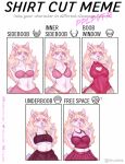  blonde_hair blue_eyes bottomwear bra brown_body brown_fur clothed clothing crop_top english_text female frilly_bra frilly_panties fur hair hi_res invalid_tag mammal meadow midriff panties pink_bra pink_clothing pink_panties pink_underwear pplpvtr procyonid raccoon shirt shirt_cut_meme skirt solo text topwear underwear underwear_only white_body white_fur 