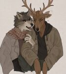  2021 5_fingers anthro antlers beastars black_nose brown_body brown_fur canid canine canis cervid cervine claws clothed clothing coat duo ear_wiggle fangs female finger_claws fingers fur grey_body grey_fur hand_on_arm horn humanoid_hands jacket juno_(beastars) louis_(beastars) male male/female mammal open_mouth punkintended red_deer scarf teeth topwear wolf 
