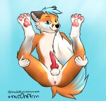  absurd_res animal_genitalia animal_penis anthro anus balls butt c0nf1rm canid canine canine_penis digital_media_(artwork) erection fox fur genitals grabbing_legs hair hands_on_legs hands_on_own_legs hi_res holding_legs holding_legs_up knot legs_up licking looking_at_viewer lying male mammal nude on_back orange_body orange_fur pawpads paws penis presenting simple_background smile solo spread_legs spreading tail_fetish tail_lick tail_play tongue tongue_out white_body white_fur 