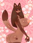  3:4 anthro big_breasts big_nipples blush breasts butt canid canine female hi_res huge_breasts looking_at_viewer looking_back mammal nipples nude omenyanozero paws raccoon_dog solo tanuki 