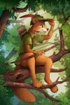  2021 absurd_res arrow bow_(weapon) branch canid canine clothing disney fox hi_res leaf male mammal plant quiver ranged_weapon robin_hood robin_hood_(disney) solo tree weapon yakovlev-vad 