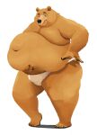  2021 anthro belly big_belly brown_body brown_fur bulge clothing feedtheboss fur hi_res humanoid_hands male mammal moobs obese obese_male overweight overweight_male simple_background solo underwear ursid white_background 