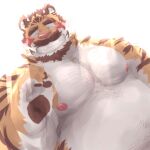  1:1 2021 anthro belly eyes_closed felid hi_res humanoid_hands kemono male mammal meimei_kia moobs nipples overweight overweight_male pantherine scar simple_background solo tiger white_background 