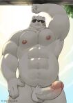  abs absurd_res erection eyewear eyewear_only genitals hi_res humanoid_genitalia humanoid_penis male mammal musclegut muscular nipples nude obese odd_taxi overweight penis polar_bear sekiguchi_(odd_taxi) solahr solo sunglasses sunglasses_only ursid ursine 