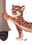  2021 ambiguous_gender claws cougar digital_media_(artwork) felid feline feral flashw fur mammal spots spotted_body spotted_fur whiskers 