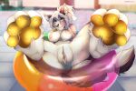  2021 3:2 4_toes anthro anus areola breasts canid canine digital_media_(artwork) evange feet female foot_focus genitals hair hi_res looking_at_viewer mammal nipples nude pawpads paws pussy swim_ring tai_l_rodriguez toes white_hair 