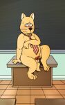  anthro barefoot bodily_fluids canid canine canis chalkboard classroom covering_nose desk domestic_dog embarrassed erection feet fur furniture genitals hi_res inside male mammal necktie neenya nude open_mouth orange_body orange_fur overweight pattern_necktie penis red_necktie school shiba_inu shinnosuke_(what&#039;s_michael) sitting solo spitz striped_necktie sweat tongue tongue_out what&#039;s_michael whiskers yellow_necktie 