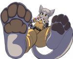  4_toes against_surface anthro anthrofied barefoot clothing domestic_cat facial_markings feet feet_against_glass felid feline felis female foot_focus fur grey_body grey_fur grey_hair hair head_markings looking_down low-angle_view mammal markings mrrowboat nia_(xenoblade) on_glass pawpads paws plantigrade simple_background smile soles solo toes white_background worm&#039;s-eye_view xenoblade_chronicles_2 yellow_eyes 