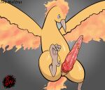  animal_genitalia animal_penis anus avian beak big_penis bird digital_media_(artwork) erection feathers feet feral genitals hi_res huge_penis legendary_birds legendary_pok&eacute;mon legendary_trio long_penis looking_at_viewer male moltres mythological_avian mythological_firebird mythology nintendo penis pok&eacute;mon pok&eacute;mon_(species) rapistwerewolf red_penis simple_background solo vein veiny_penis video_games wings 