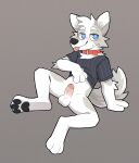  anthro arcadepup balls blep blush bottomless canid canine clothed clothing clothing_lift collar genitals hi_res humanoid_genitalia humanoid_penis lenny_(asnnonaka) male mammal penis shirt shirt_lift solo tongue tongue_out topwear 