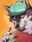  3:4 5_fingers anthro canid canine canis clothed clothing digital_media_(artwork) drinking drinking_glass drinking_straw english_text fingers fluffy fur hat headgear headwear hi_res killingtea male mammal smile snapback_hat solo teeth text ti-killa white_body white_fur yellow_eyes zephyxus 