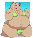  2021 anthro belly bikini blush brown_body brown_fur bulge clothing fur hi_res inigo_(kusosensei) kemono kusosensei male mammal moobs navel overweight overweight_male simple_background solo swimwear ursid 