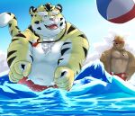  2021 anthro belly brown_body brown_fur canid canine clothing duo felid fur hi_res humanoid_hands kemono male mammal moonwhitetiger musclegut navel outside overweight overweight_male pantherine swimwear tiger water white_body white_fur yellow_body yellow_fur 