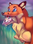  bodily_fluids canid canine duo fennec feral fox male male/male mammal neck_bulge nervous oral_vore red_fox saliva size_difference soft_vore teeth tongue vore vulpes-vulgaris 