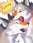 2021 ambiguous_gender canid canine canis digital_media_(artwork) duo feral flashw fur mammal open_mouth orange_body orange_fur simple_background teeth text tongue white_body white_fur wolf 