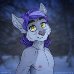  2021 absurd_res anthro canid canine canis digital_media_(artwork) eiswolf forest forest_background fur grey_body grey_fur hair hi_res kotyami looking_at_viewer male mammal nature nature_background night nipples outside plant purple_hair snow solo text tree wide_eyed winter wolf yellow_eyes 