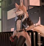  2021 anthro belt blue_eyes bottomless braided_hair canid canine clothed clothing detailed_background digital_media_(artwork) eihman fingerless_gloves flaccid genitals girly gloves hair hand_on_hip handwear hi_res legwear male mammal penis penis_base smile solo thigh_highs 