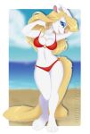  2021 alpha_channel animaniacs anthro beach bikini blonde_hair blue_eyes blue_eyeshadow blurred_background border breasts clothed clothing digital_media_(artwork) eyelashes eyeshadow female hair long_hair makeup mammal metalpandora minerva_mink mink mustelid musteline seaside smile solo swimwear transparent_border true_musteline warner_brothers watermark 