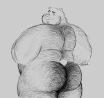  2021 anthro belly biped body_hair butt butt_hair male mammal monochrome overweight overweight_male simple_background solo tutexl_(artist) ursid 
