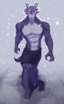  2021 5_toes abs absurd_res anthro arm_scar athletic athletic_anthro athletic_male barefoot beastars biceps black_nose bottomwear canid canine canis claws clothed clothing cold detailed_background digital_media_(artwork) dylarts eye_scar facial_scar feet finger_claws fingers fur grey_body grey_fur hi_res humanoid_feet humanoid_hands legoshi_(beastars) looking_at_viewer male mammal muscular muscular_anthro muscular_male navel outside pecs scar simple_background snowflake solo standing textured_background toe_claws toes topless topless_male wolf 