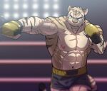  abs anthro biceps blue_eyes bottomwear clothed clothing felid fur handwear hi_res husky_(artist) koreanhusky male mammal muscular muscular_anthro muscular_male nipples pantherine pecs solo sport stripes tiger topless vein veiny_arms wrestling 