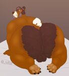  anthro balls beard big_butt butt cinna_(megacoolbear) facial_hair genitals hi_res male mammal mature_male overweight perineum raised_tail rine solo ursid 