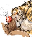  2021 anthro balls belly blush bodily_fluids cum duo edit ejaculation erection felid genital_fluids genitals hi_res humanoid_genitalia humanoid_penis kemono kotobuki licking male male/male mammal oral pantherine penile penis penis_lick sex simple_background solo_focus tiger tongue tongue_out uncensored white_background 