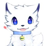  &lt;3 1:1 ambiguous_gender arctic_fox blep blue_eyes blue_sclera canid canine collar detailed_eyes emote feral fluffy fluffy_tail fox fur hi_res looking_at_viewer mammal name_tag simple_background smile snoii_(snoiifoxxo) snoiifoxxo solo text tongue tongue_out tuft white_background white_body white_fur 
