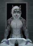  2021 anthro canid canine detailed_background digital_media_(artwork) fur green_eyes grey_body grey_fur hi_res looking_at_viewer male mammal royzilya solo whiskers white_body white_fur 