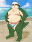  2021 absurd_res anthro beach belly black_nose blush bodily_fluids canid canine canis domestic_dog fur green_body green_fur hi_res humanoid_hands kemono live-a-hero male mammal mokdai moobs navel nipples overweight overweight_male sea seaside solo sweat video_games water yaki_atsuage 