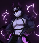  2021 abs anthro arm_cuffs bottomwear chain choker clothing demon electricity eyewear hands_on_hips hi_res horn jewelry loincloth male mammal markings muscular muscular_anthro muscular_male navel necklace nipples pecs procyonid purple_background raccoon rygel_(rygel_spkb) rygel_spkb simple_background smile solo spade_tail spikes spikes_(anatomy) straps sunglasses 