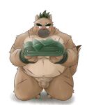  2021 anthro balls belly big_belly blush brown_body brown_fur canid canine canis domestic_dog edit flaccid fur genitals green_hair hair hi_res kemono male mammal mind_drive mizuse_higomaru moobs overweight overweight_anthro overweight_male penis scar simple_background solo tokyo_afterschool_summoners uncensored video_games white_background yasuyori 