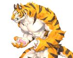  5:4 abs anthro biceps captainjohkid felid feline fur hi_res male mammal muscular muscular_anthro muscular_male pantherine pecs simple_background solo stripes tiger white_background yellow_eyes 