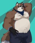  2021 anthro belly black_nose bottomwear brown_body brown_fur canid canine clothing eyewear fur glasses hi_res humanoid_hands male mammal moobs naikuma nipples overweight overweight_male raccoon_dog shorts solo tanuki 