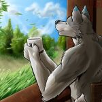  1:1 anthro canid canine canis coffee_mug detailed_background digital_media_(artwork) hermesdidit hi_res looking_away male mammal shaded simple_shading sitting solo steam wind window wolf 