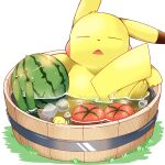  1:1 2021 3_toes absurd_res ambiguous_gender dipstick_ears feet food fruit fur hi_res melon multicolored_ears nintendo open_mouth partially_submerged pikachu plant pok&eacute;mon pok&eacute;mon_(species) sleeping solo tatu_wani_(artist) toes tomato video_games water watermelon yellow_body yellow_fur 