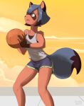  2020 5_fingers anthro ball basketball_(ball) black_nose blue_eyes blue_hair bottomwear brand_new_animal brown_body brown_fur canid canine clothing cloud cute_fangs dipstick_tail female fingers fur hair holding_basketball kiit0s looking_up mammal michiru_kagemori multicolored_tail outside raccoon_dog shirt short_hair shorts smile solo studio_trigger tank_top tanuki topwear 