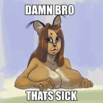  anthro big_breasts breasts caracal caracal_(genus) featureless_breasts felid feline female hair hi_res lips looking_at_viewer mammal meme shotacatso solo text 