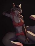  2019 anthro bra breasts canid canine clothed clothing digital_media_(artwork) eyebrows eyelashes female frilly_bra frilly_panties hi_res kristiana_puff mammal multi_tail navel orange_eyes panties red_bra red_clothing red_panties red_underwear solo underwear underwear_only 