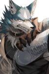  anthro blue_body blue_fur brand_new_animal canid canine canis chung0_0 clothing digital_media_(artwork) duo fur hi_res male mammal shirou_ogami simple_background solo_focus studio_trigger white_background wolf 