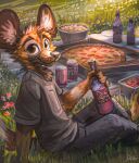  2021 anthro beverage bottomwear can canid canine cheek_tuft clothed clothing container detailed_background digital_media_(artwork) facial_tuft flower food fox fraudulent_fox fully_clothed grass head_tuft hi_res holding_beverage holding_object jacato looking_at_viewer male mammal on_ground outside pants picnic pizza plant round_ears shirt signature sitting smile smiling_at_viewer solo t-shirt tall_grass topwear tuft 