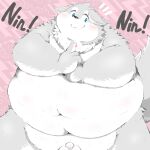  2021 absurd_res anthro balls belly blue_eyes blush canid canine canis domestic_dog foreskin genitals grey_body hi_res humanoid_hands kemono male mammal navel obese obese_male overweight overweight_male penis poketalesof small_penis solo white_body 